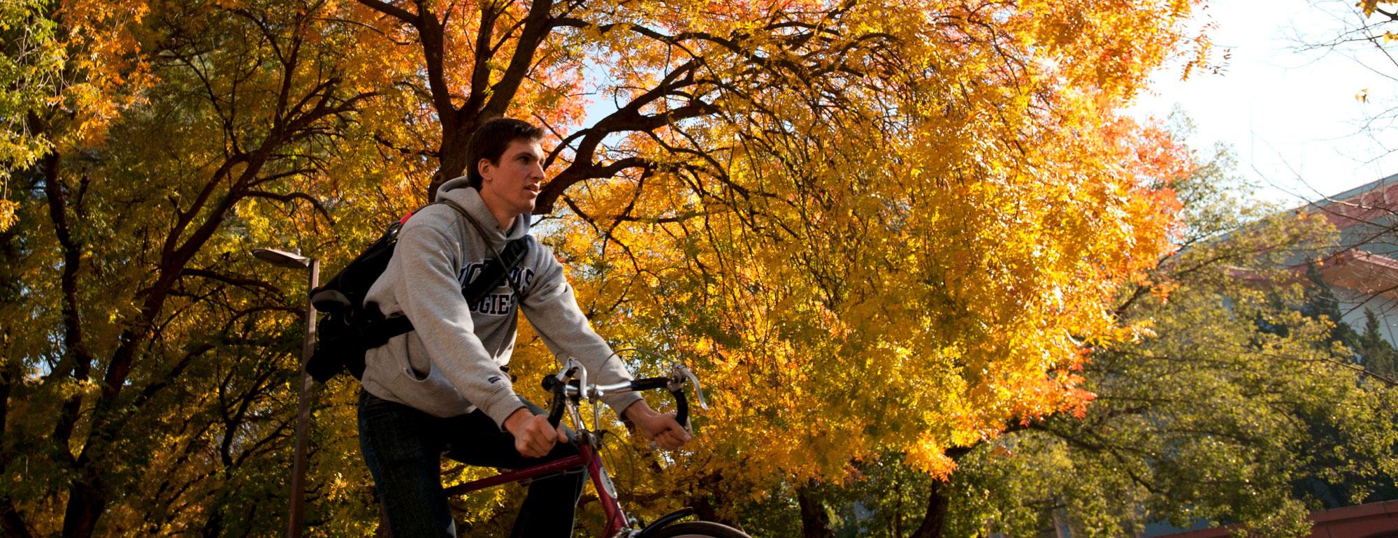 A male student rides his bicycle under the Fall foliage on the 春色视频 campus