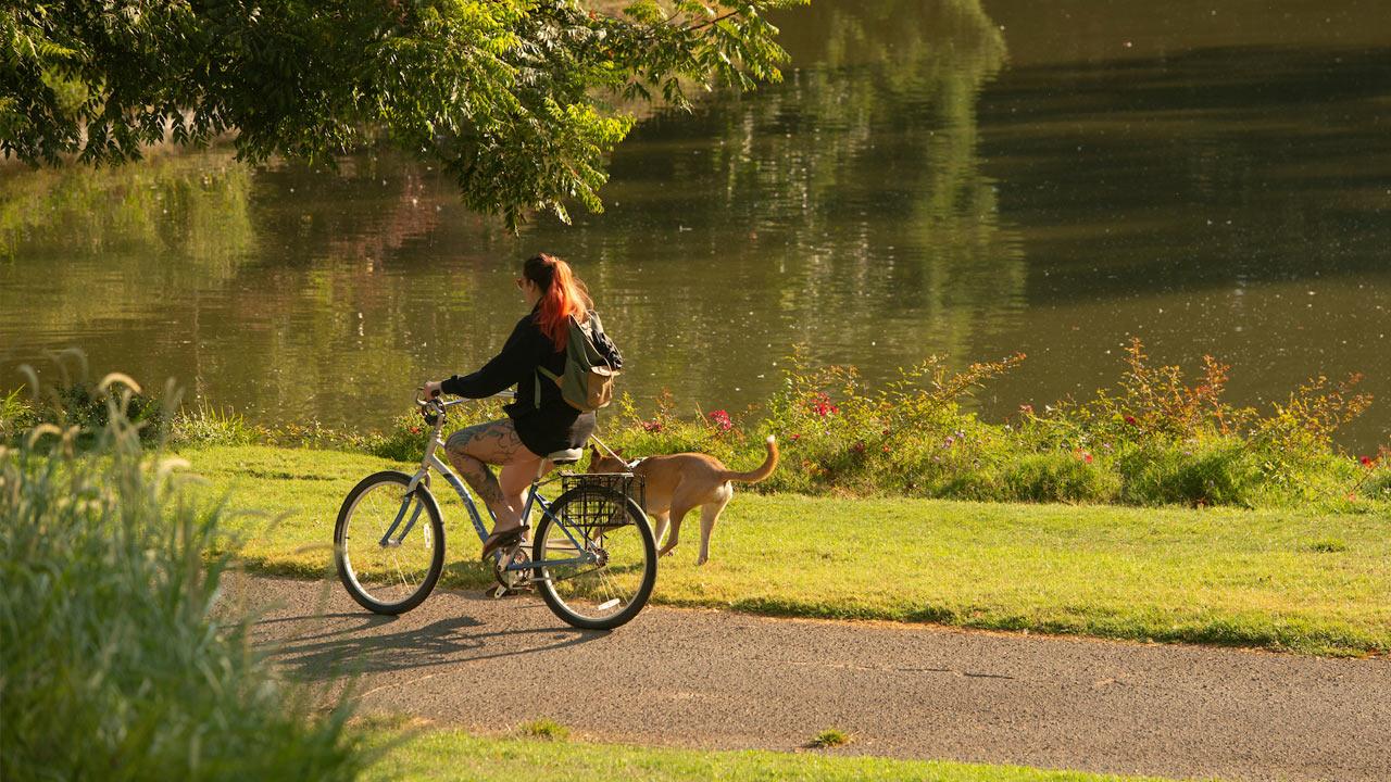 A student rides her bike through the 春色视频 Arboretum while her dog jogs alongside.