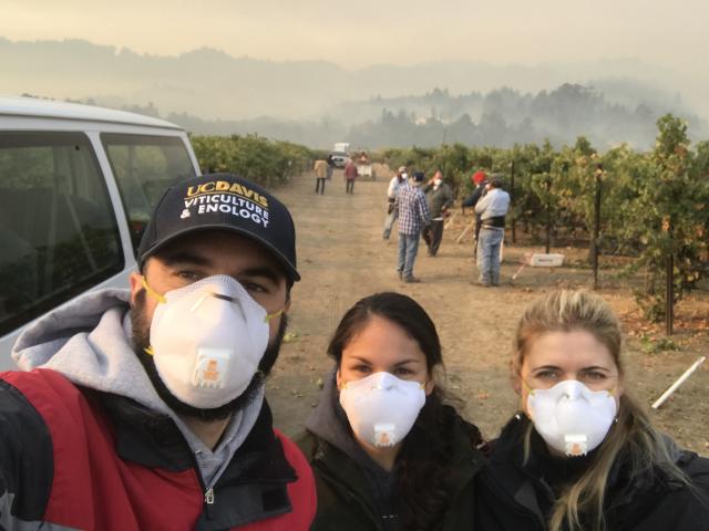 Three people with masks stand in a smoky vineyard