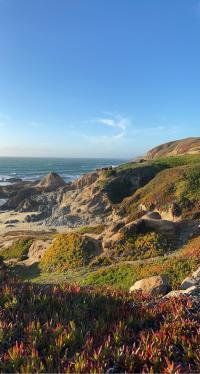 Bodega Bay Beach Surrounded by Grassy Hills