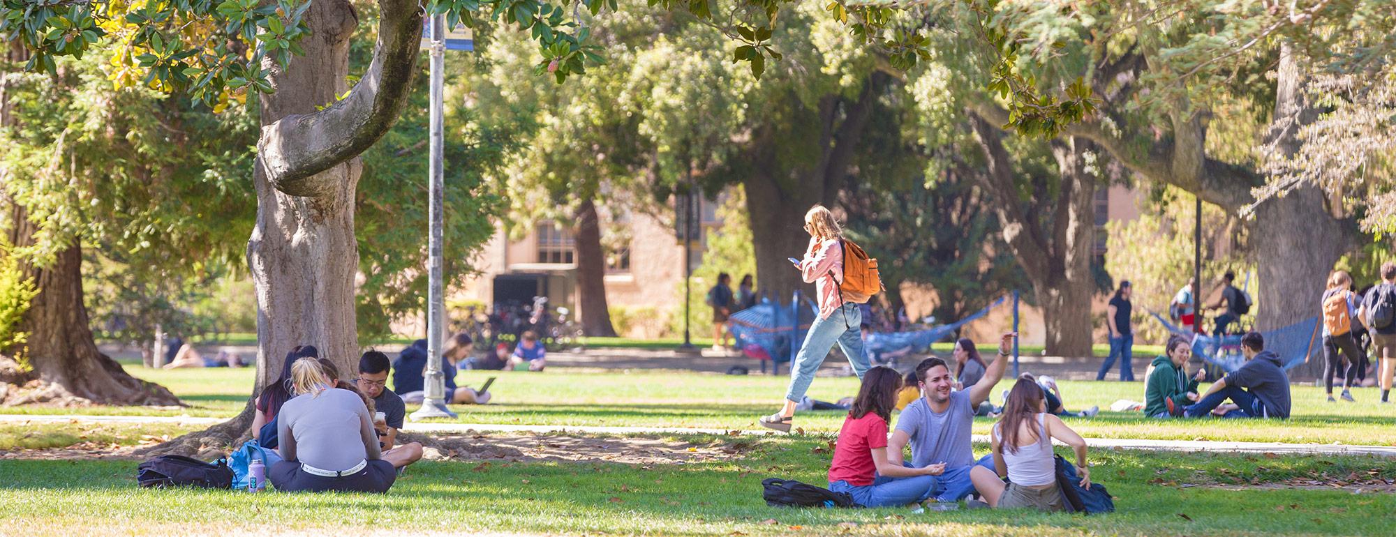students sitting on the grass outside enjoying the quad