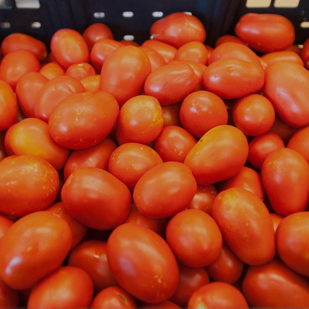 a bunch of tomatoes